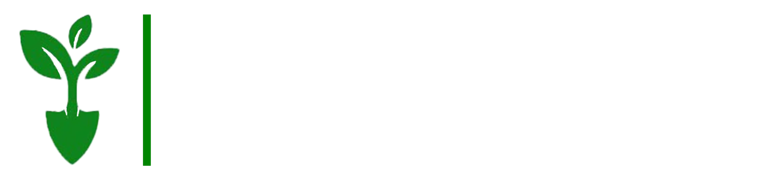 PRIMAVERA